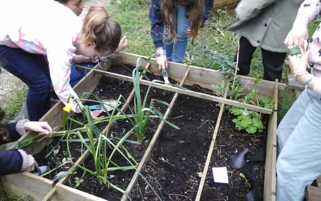 Notre jardin