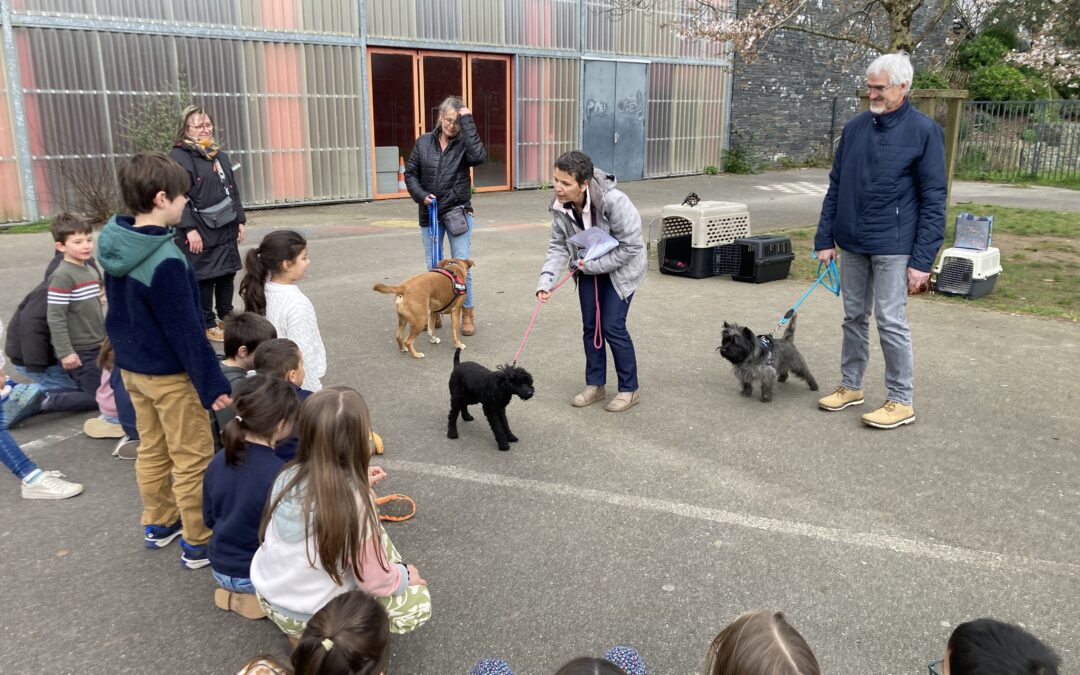 Rencontre canine