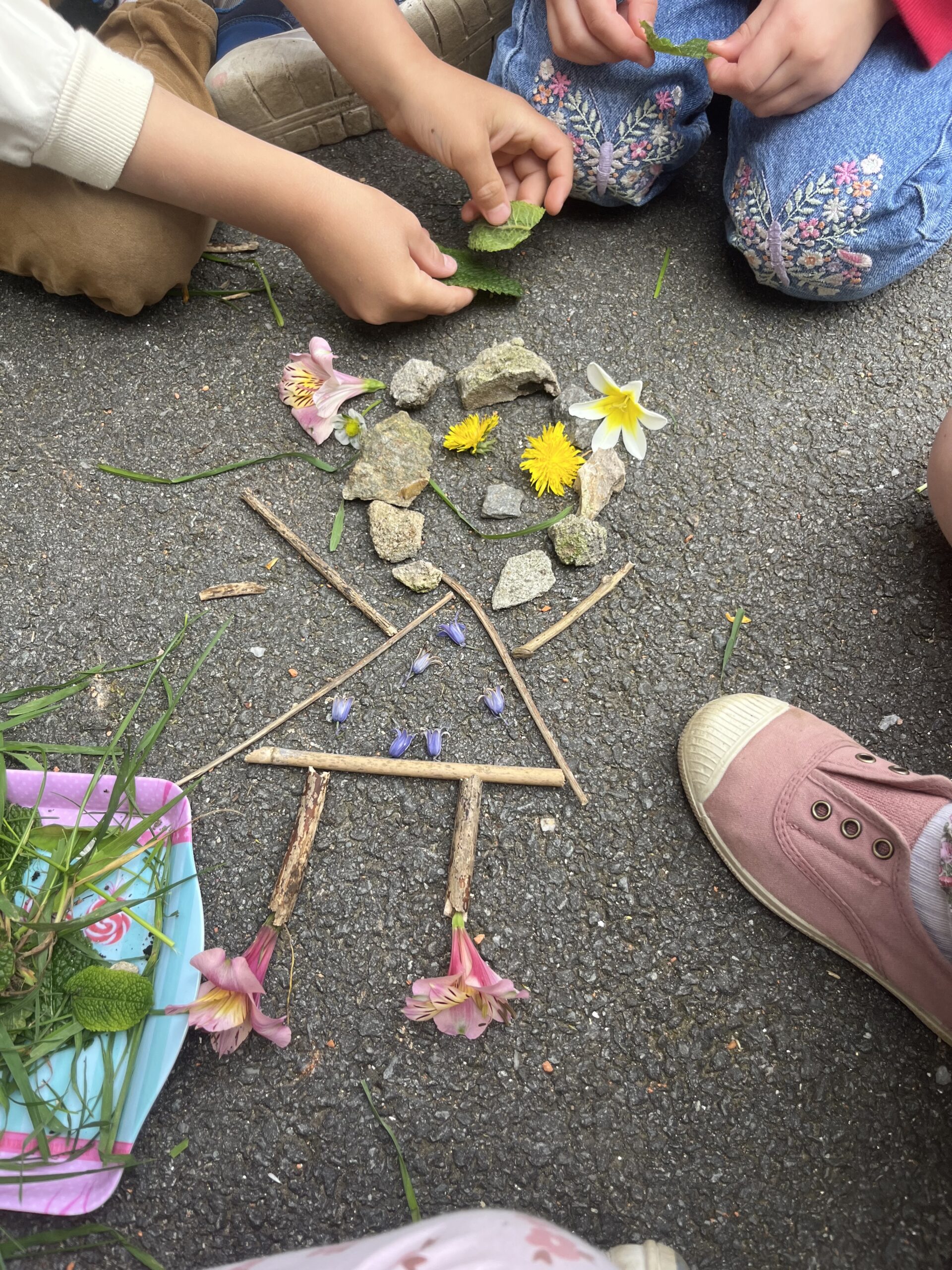 initiation au Land Art