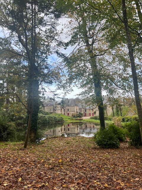 Au coeur de la forêt